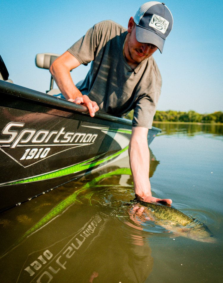 catching summer bass